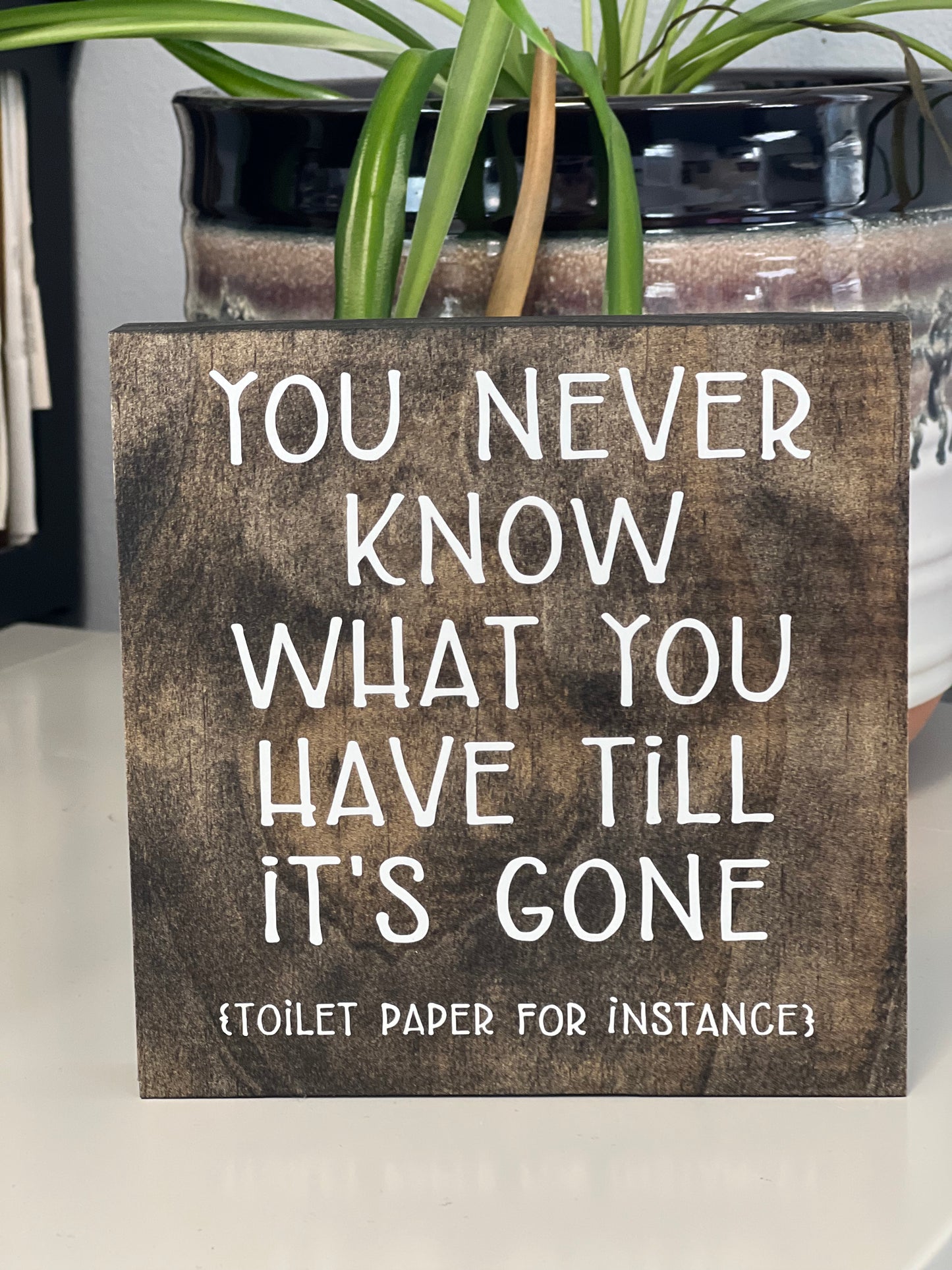 You Never Know What You Have - Toilet Paper